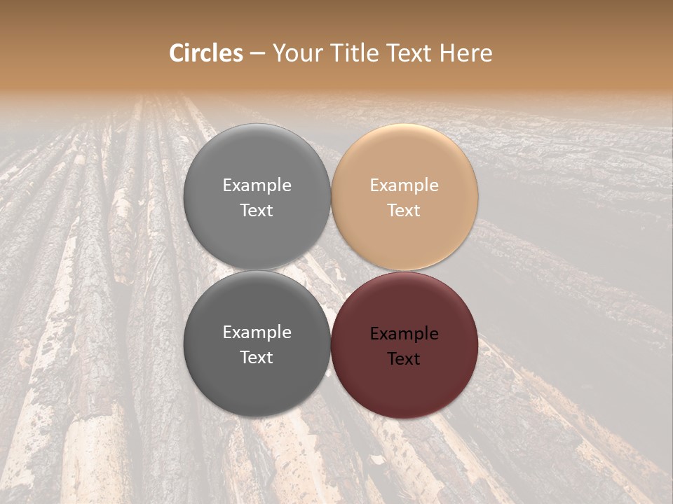 Timber Lumber Trunk Of Tree PowerPoint Template