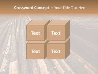 Timber Lumber Trunk Of Tree PowerPoint Template