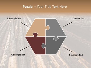Timber Lumber Trunk Of Tree PowerPoint Template