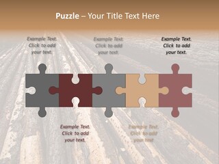 Timber Lumber Trunk Of Tree PowerPoint Template