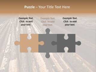 Timber Lumber Trunk Of Tree PowerPoint Template