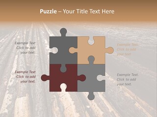 Timber Lumber Trunk Of Tree PowerPoint Template
