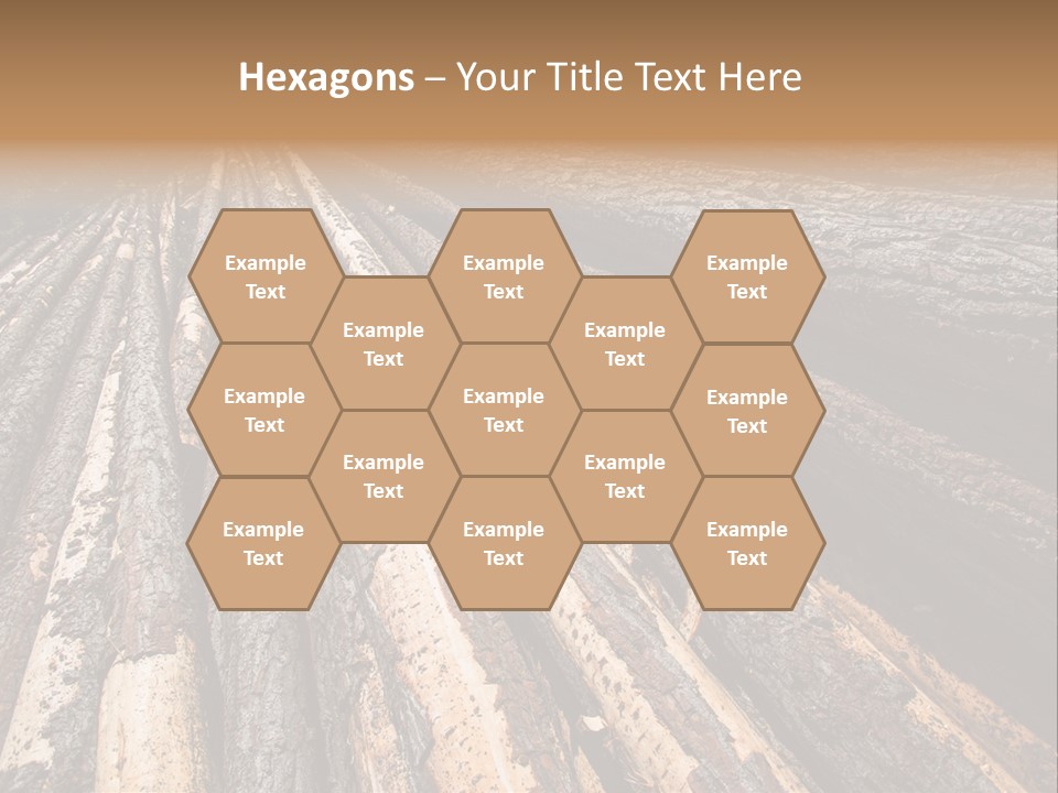 Timber Lumber Trunk Of Tree PowerPoint Template