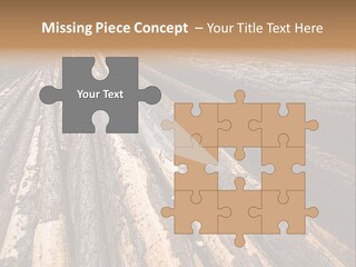 Timber Lumber Trunk Of Tree PowerPoint Template