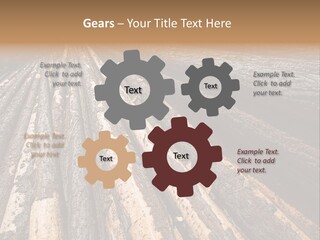 Timber Lumber Trunk Of Tree PowerPoint Template