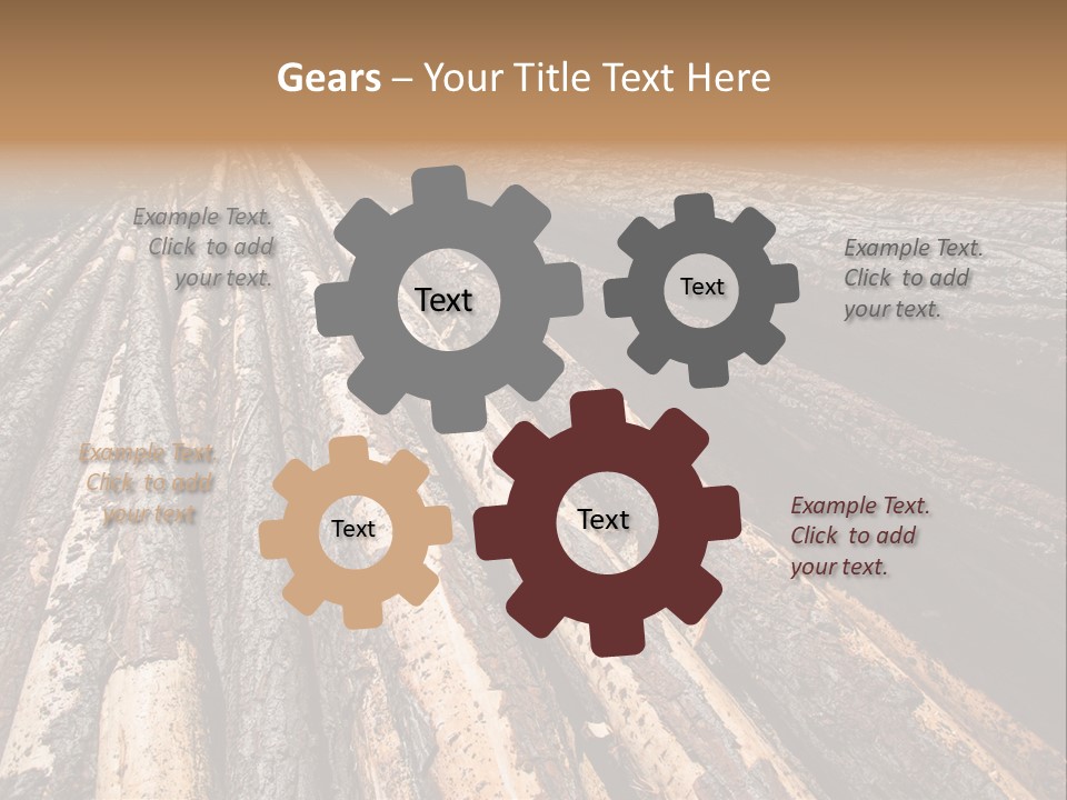 Timber Lumber Trunk Of Tree PowerPoint Template