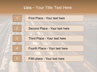Timber Lumber Trunk Of Tree PowerPoint Template