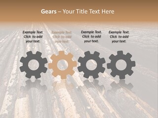 Timber Lumber Trunk Of Tree PowerPoint Template