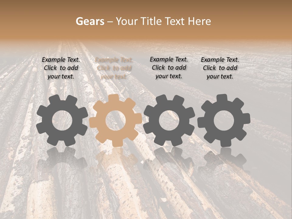 Timber Lumber Trunk Of Tree PowerPoint Template