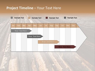 Timber Lumber Trunk Of Tree PowerPoint Template