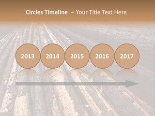 Timber Lumber Trunk Of Tree PowerPoint Template