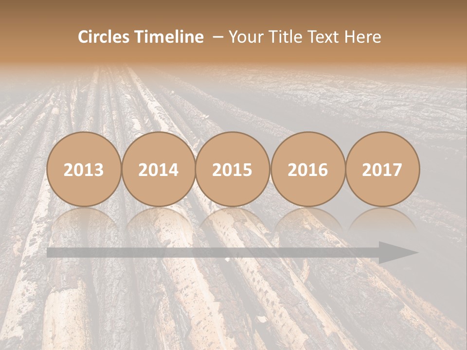 Timber Lumber Trunk Of Tree PowerPoint Template