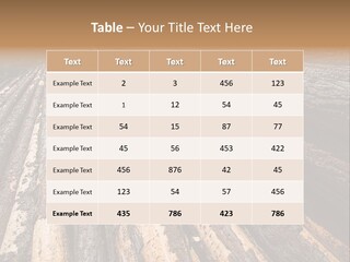 Timber Lumber Trunk Of Tree PowerPoint Template