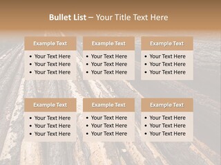 Timber Lumber Trunk Of Tree PowerPoint Template