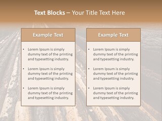 Timber Lumber Trunk Of Tree PowerPoint Template