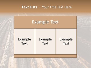 Timber Lumber Trunk Of Tree PowerPoint Template