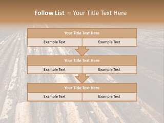 Timber Lumber Trunk Of Tree PowerPoint Template