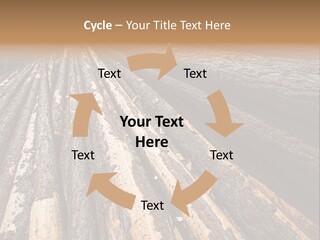 Timber Lumber Trunk Of Tree PowerPoint Template