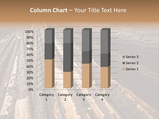 Timber Lumber Trunk Of Tree PowerPoint Template