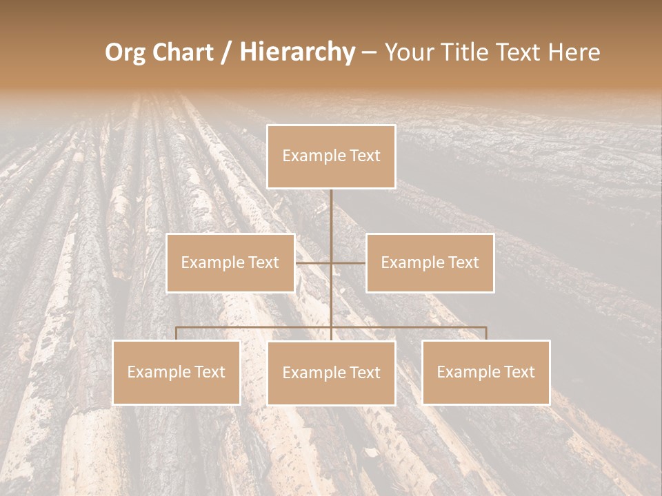 Timber Lumber Trunk Of Tree PowerPoint Template