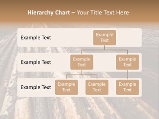 Timber Lumber Trunk Of Tree PowerPoint Template