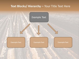 Timber Lumber Trunk Of Tree PowerPoint Template