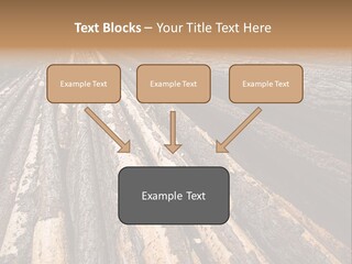 Timber Lumber Trunk Of Tree PowerPoint Template