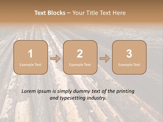 Timber Lumber Trunk Of Tree PowerPoint Template