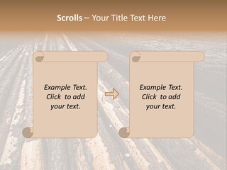 Timber Lumber Trunk Of Tree PowerPoint Template