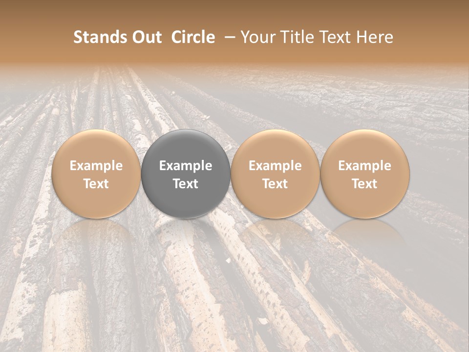 Timber Lumber Trunk Of Tree PowerPoint Template