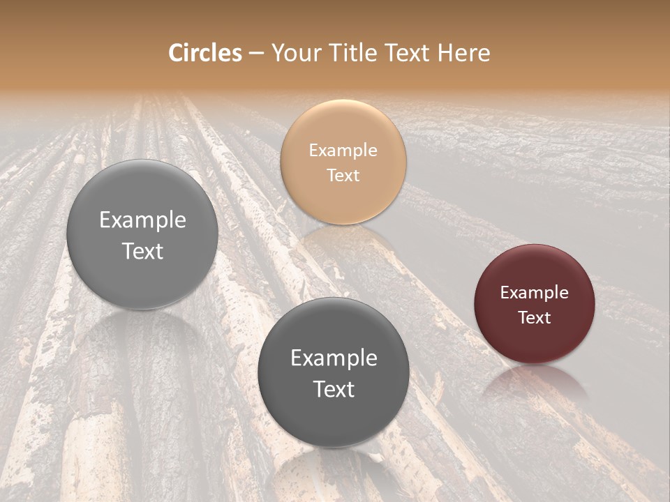 Timber Lumber Trunk Of Tree PowerPoint Template