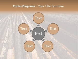 Timber Lumber Trunk Of Tree PowerPoint Template