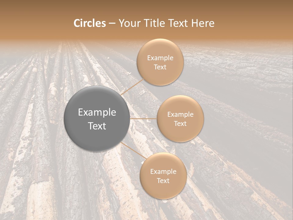 Timber Lumber Trunk Of Tree PowerPoint Template