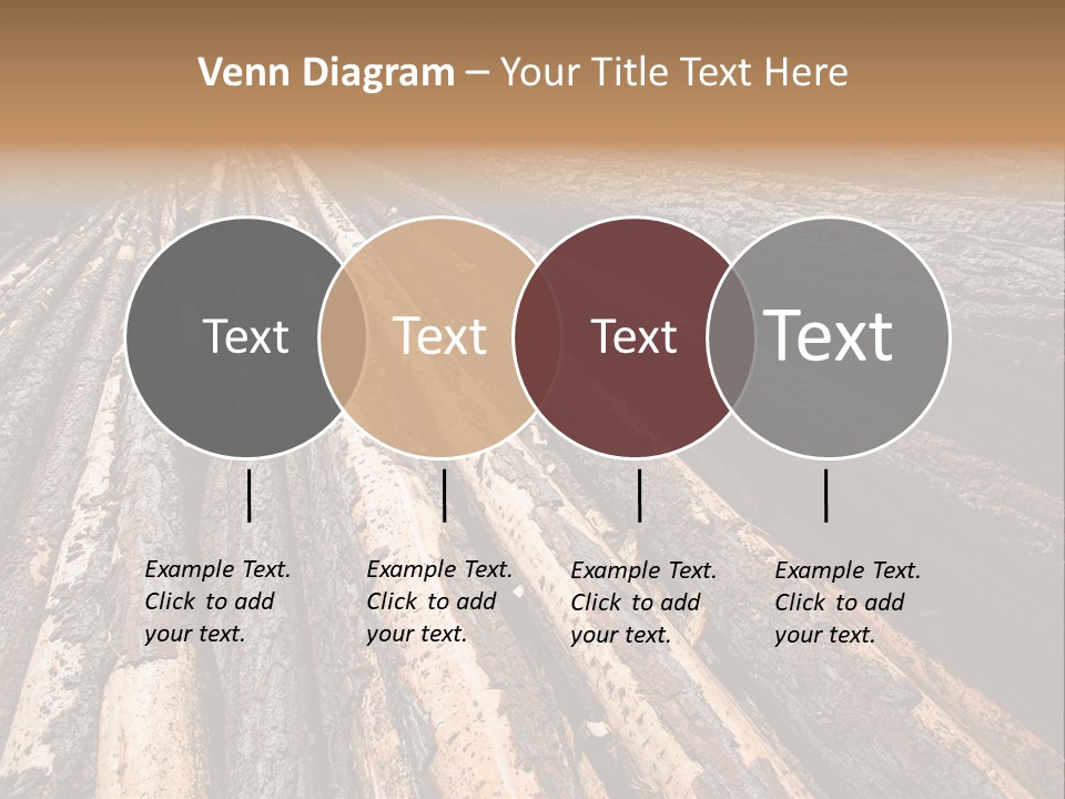 Timber Lumber Trunk Of Tree PowerPoint Template