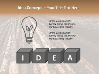 Timber Lumber Trunk Of Tree PowerPoint Template