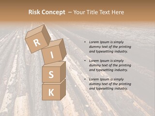 Timber Lumber Trunk Of Tree PowerPoint Template