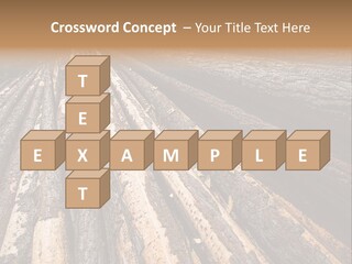 Timber Lumber Trunk Of Tree PowerPoint Template