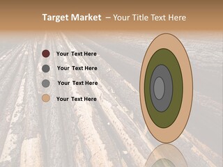 Timber Lumber Trunk Of Tree PowerPoint Template