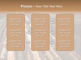 Timber Lumber Trunk Of Tree PowerPoint Template