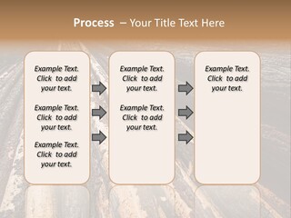 Timber Lumber Trunk Of Tree PowerPoint Template
