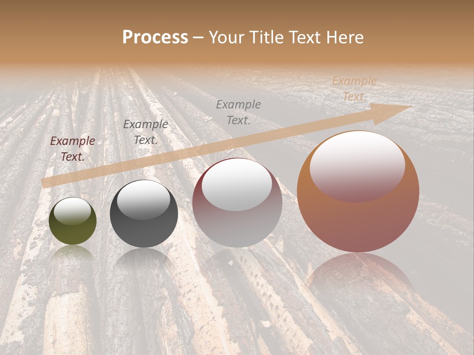 Timber Lumber Trunk Of Tree PowerPoint Template