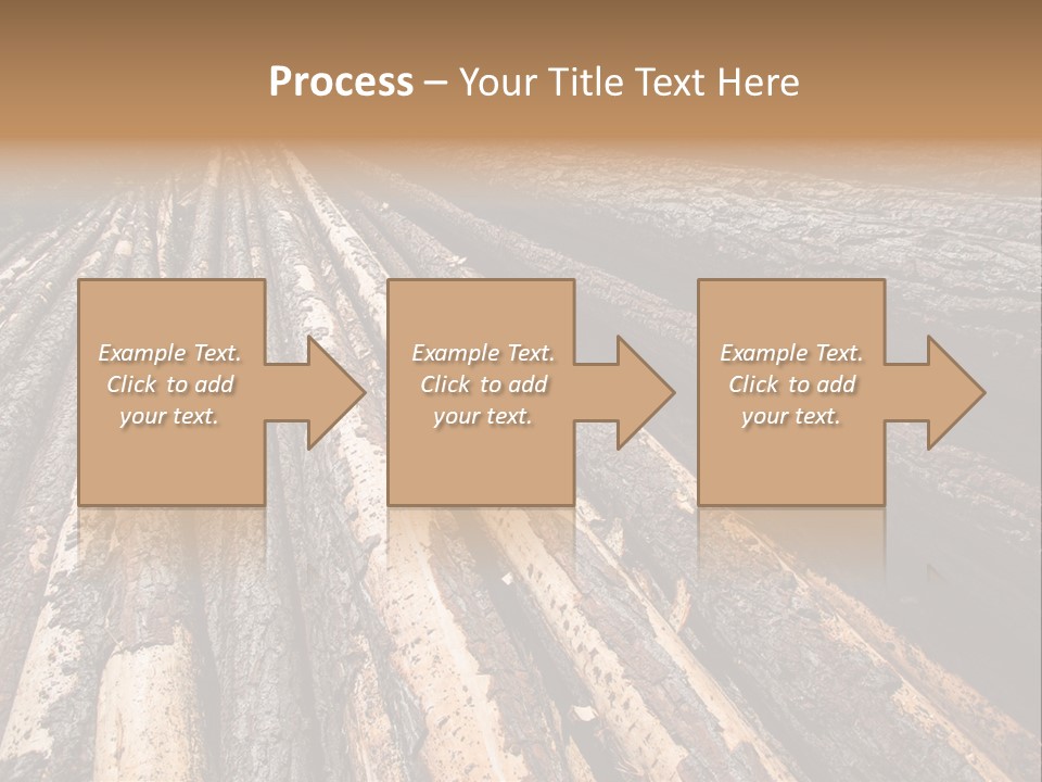 Timber Lumber Trunk Of Tree PowerPoint Template