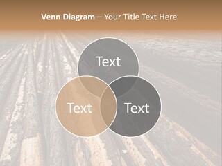 Timber Lumber Trunk Of Tree PowerPoint Template