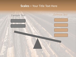 Timber Lumber Trunk Of Tree PowerPoint Template