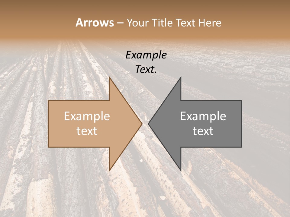 Timber Lumber Trunk Of Tree PowerPoint Template