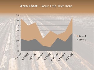 Timber Lumber Trunk Of Tree PowerPoint Template