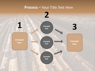 Timber Lumber Trunk Of Tree PowerPoint Template