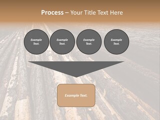 Timber Lumber Trunk Of Tree PowerPoint Template
