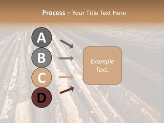 Timber Lumber Trunk Of Tree PowerPoint Template