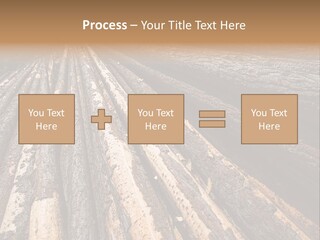 Timber Lumber Trunk Of Tree PowerPoint Template